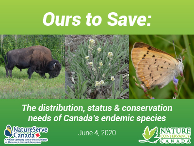 Ours to Save: The distribution, status & conservation of Canada’s endemic species
June 4, 2020